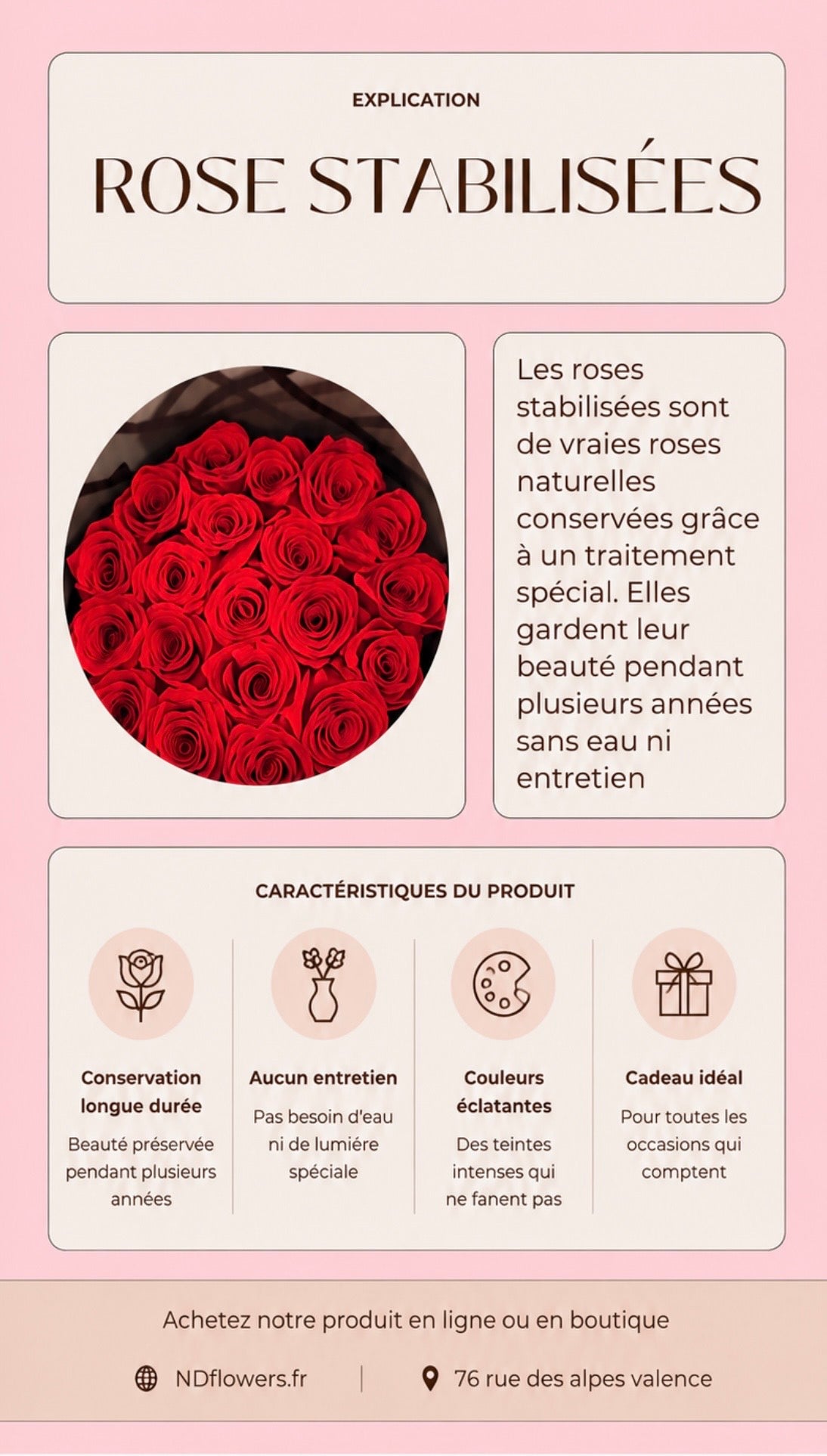 20 Rose stabilisée