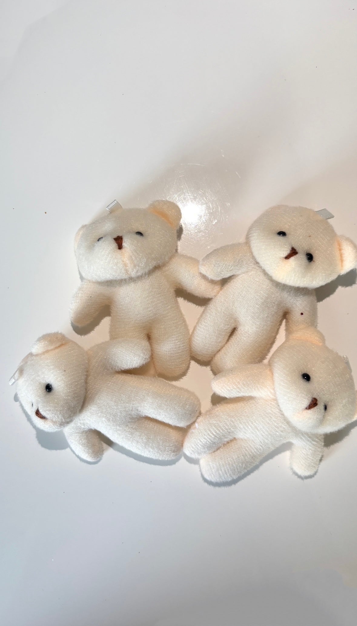 SUPPLÉMENTS NOUNOURS