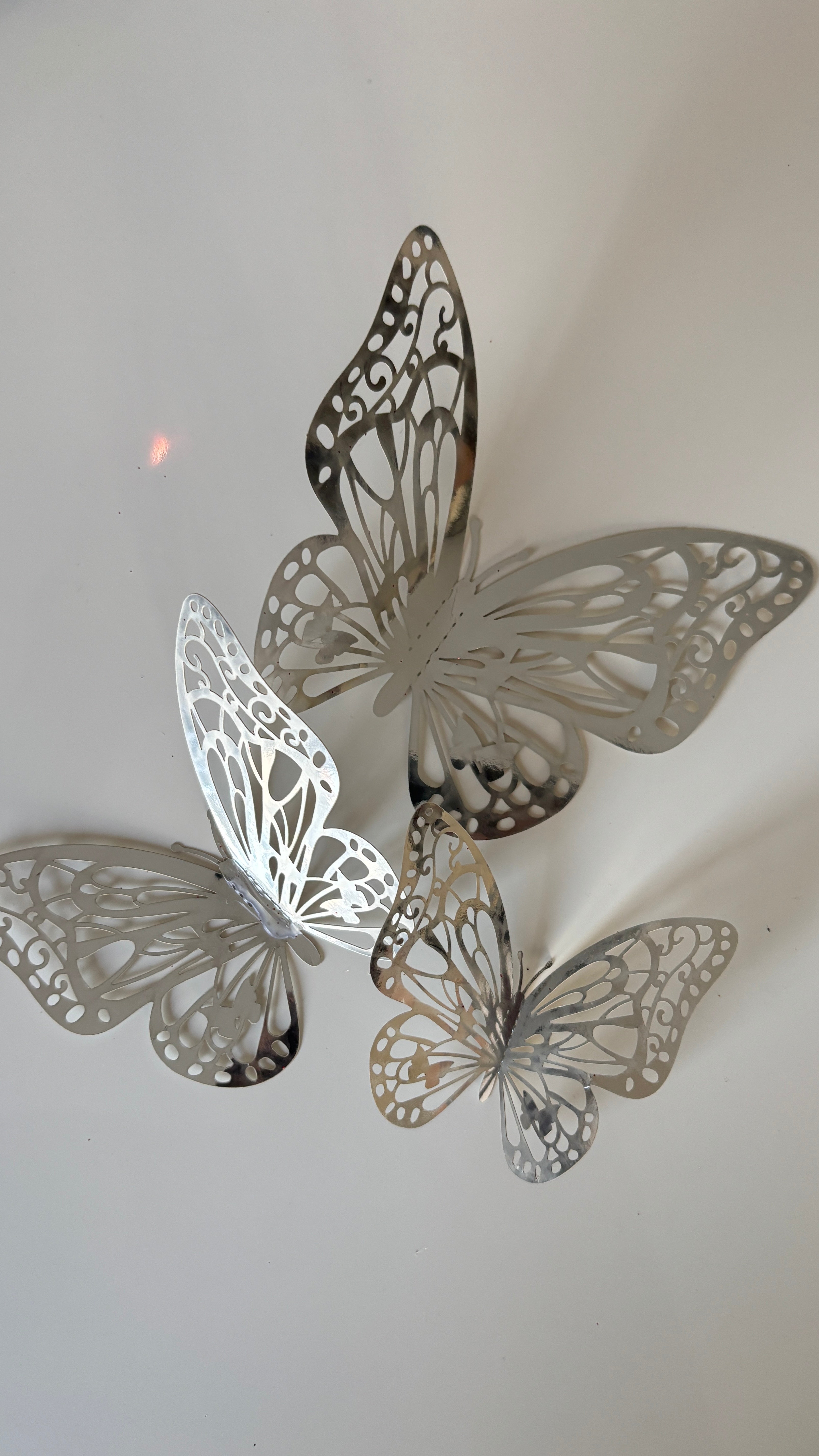 SUPPLÉMENTS PAPILLON ARGENTÉ